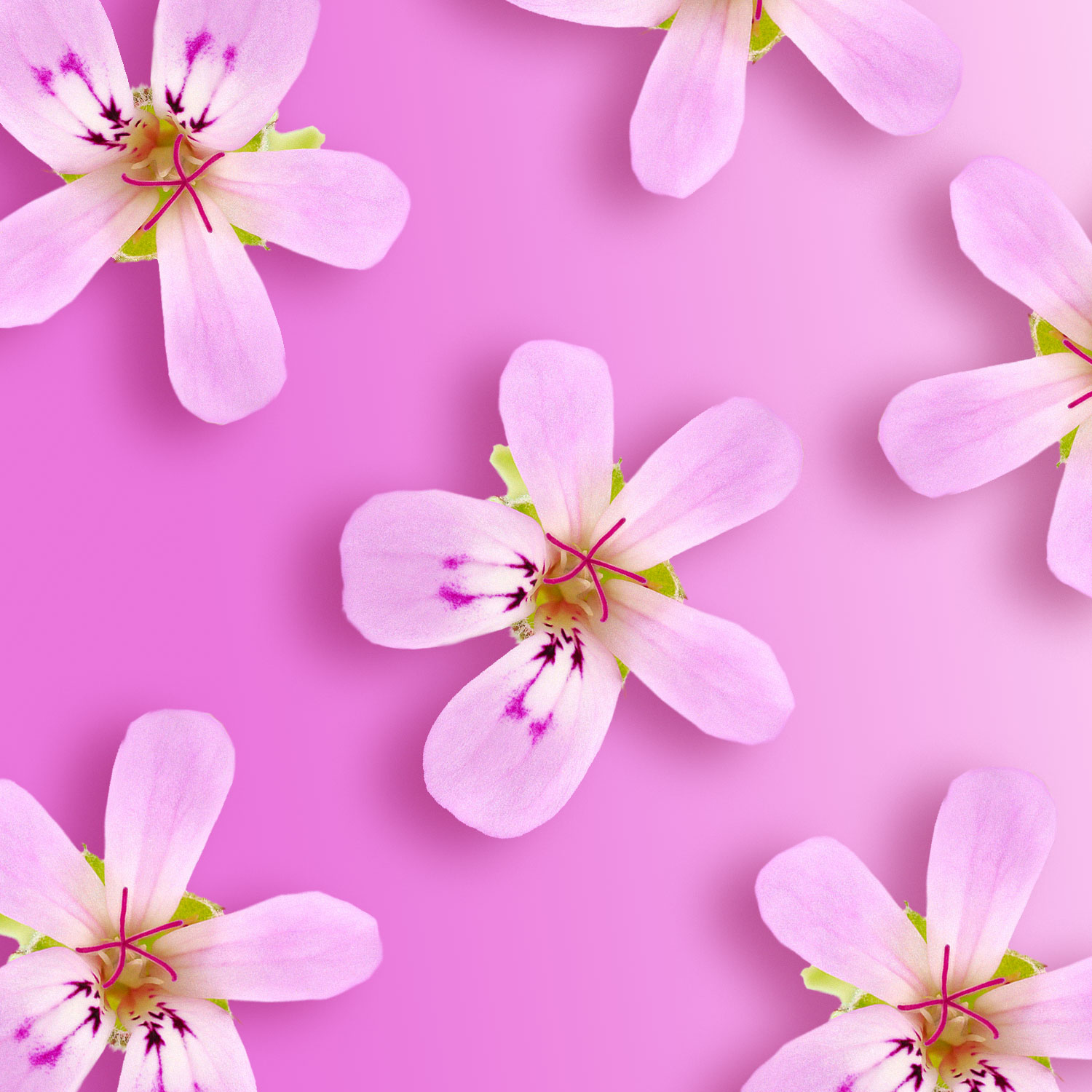 Petit Grain Bigarade